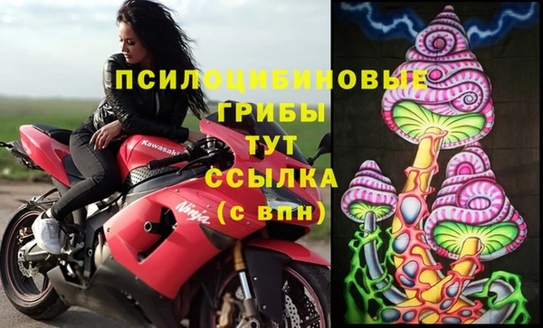 ALPHA-PVP Горнозаводск