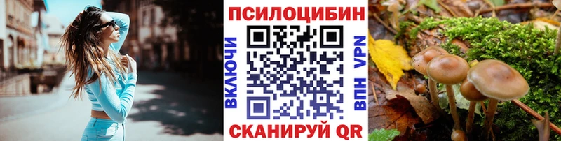 Псилоцибиновые грибы Psilocybine cubensis Батайск